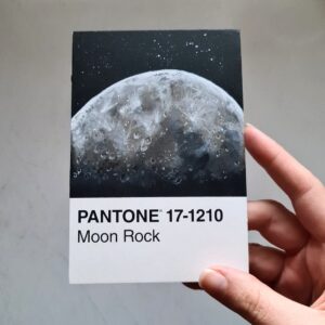 Pantone 17-1210 print